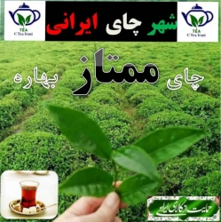 خرید و فروش عمده چای ایرانی